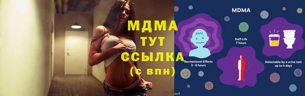 прущие грибы Семикаракорск