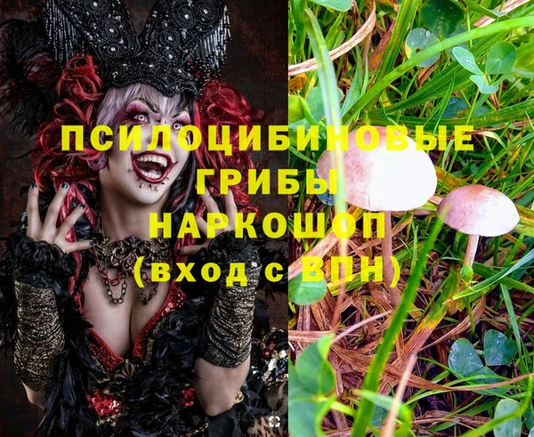 тгк Алзамай