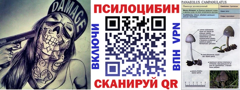 Псилоцибиновые грибы Magic Shrooms  Апатиты 